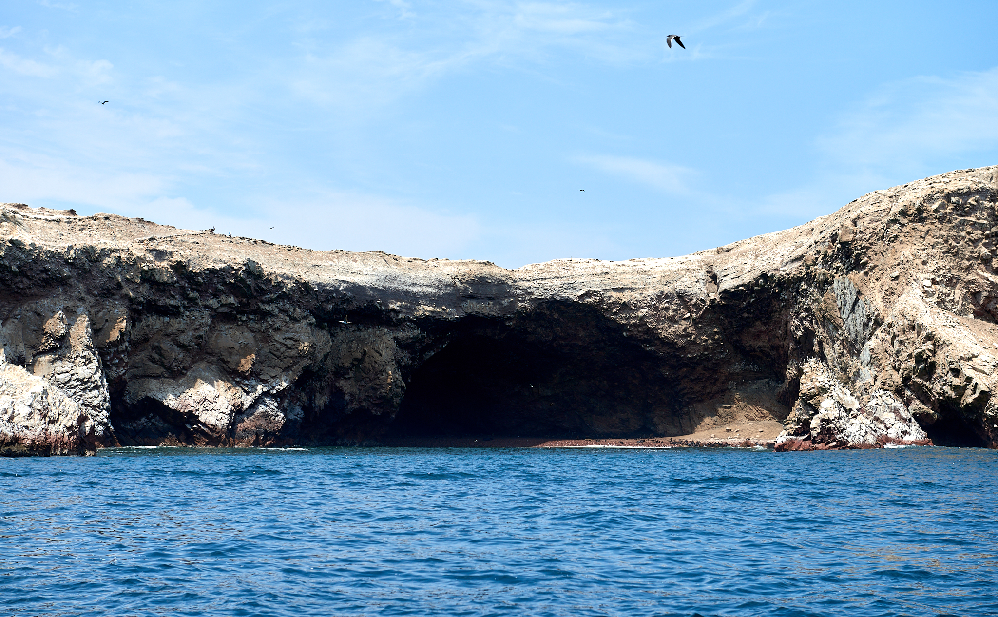 20200304 204 [페루] 바예스타섬